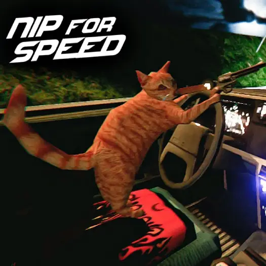 Nip For Speed