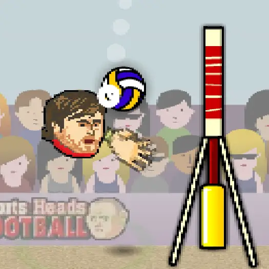 Sports Heads Volleyball