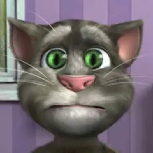Talking Tom Cat 2